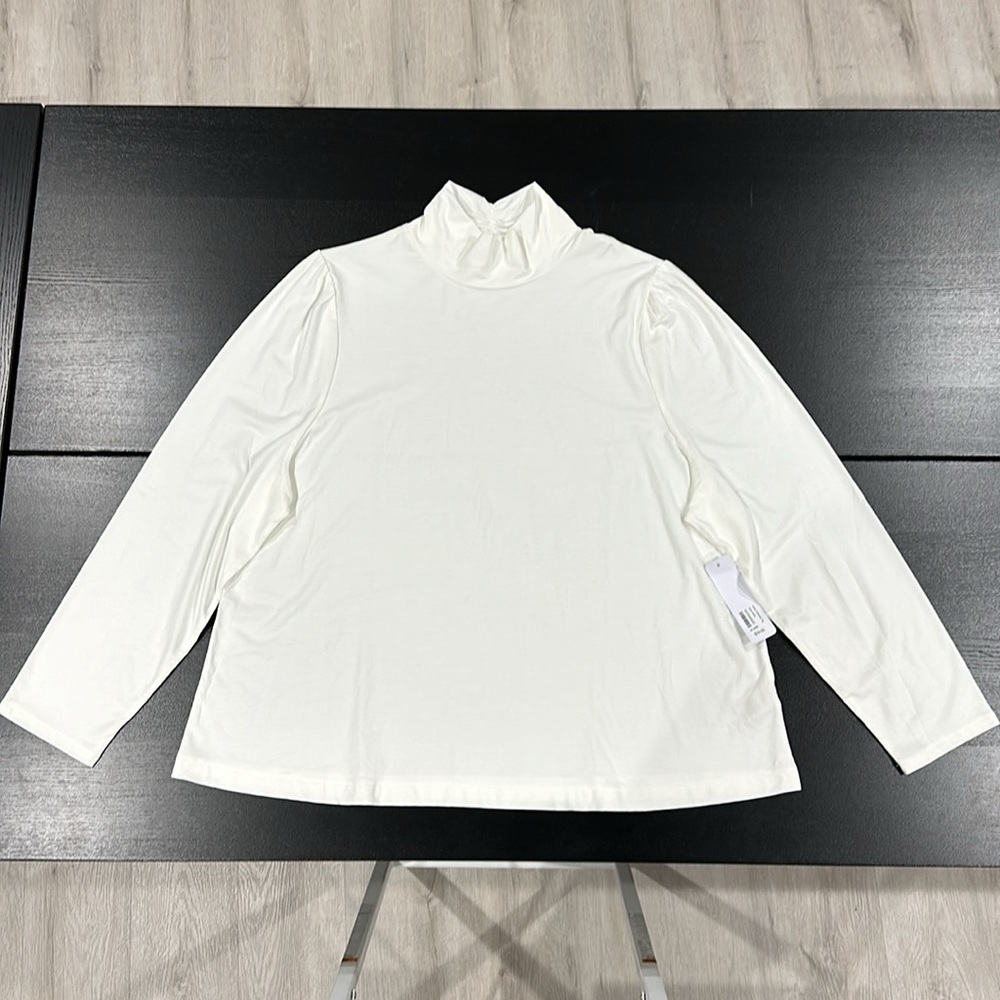 Soft Surroundings Emme Turtleneck Top - 3X